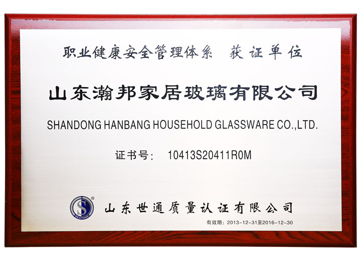 職業(yè)健康安全管理體系證書